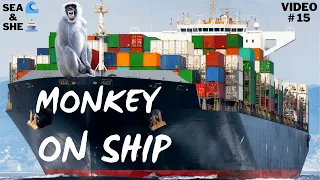 SEA 🌊 & SHE 🚢 || Monkey On Ship - जहाज पे बंदर || JPC VLOGS || Video # 15