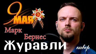 Журавли - Марк Бернес (кавер) vocaluga