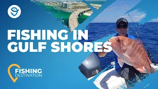 The Complete Guide to Fishing in Gulf Shores