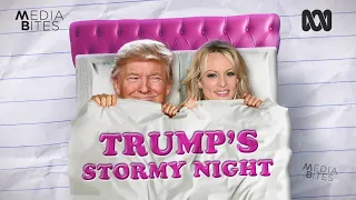 Steamy, spanky, silky: Stormy's alleged raunchy night with Trump makes media blush | Media Bites