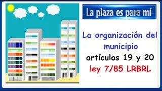 #laplazaesparami 🟢 La organización del Municipio, art 19 y 20 ley 7/85.