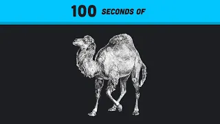 Perl in 100 Seconds