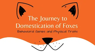 The Journey to Domestication of Foxes: Behavioral Genes and Physical Traits