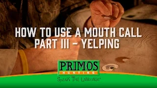 How to Use a Mouth Turkey Call Part III - Yelping