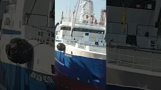МФТ Морской Волк, Готовый вариант судна после дока, Пусан 2021