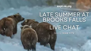 Late Summer at Brooks Falls | Brooks Live Chat