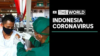 Fears Indonesia’s latest spike in COVID-19 cases could worsen | The World