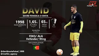 David - Fixo / Ala (Defender/Wing) 1998