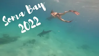 Ägypten - Soma Bay 2022