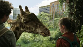 The Last of Us | Season 1 Episode 9 | Ellie and Joel Feed Giraffe | 4K