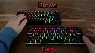 Red switches vs Brown switches