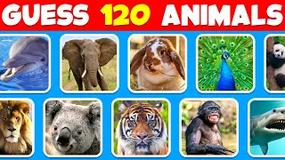 Guess 120 Animals In 3 Seconds! 🐱 | Easy, Medium, Hard, Impossible Levels 😵