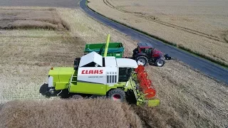 Żniwa Rzepakowe 2017 u Słomka ! (Medion, Valtra, MetalTech, Merlo)