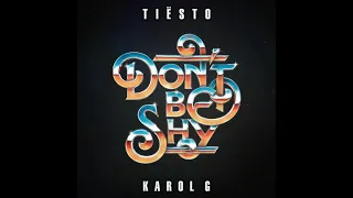 Tiësto & KAROL G - Don’t Be Shy (Instrumental)