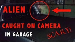 ALIEN Caught on Camera