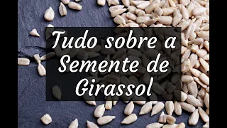 Tudo sobre a Semente de Girassol