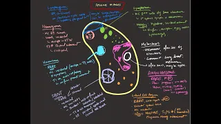 Splenic masses