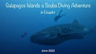 Galapagos Islands a Scuba Diving Adventure in Ecuador