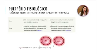 Aula 18 | PUERPÉRIO PATOLÓGICO E FISIOLÓGICO