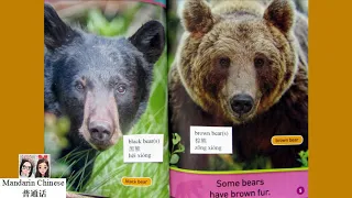 National Geographic Readers: All About Bears (Pre-reader) 美国国家地理分级阅读：熊 （预备级）