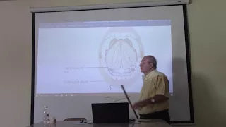 Anatomy of head & neck 51 ( Submandibular gland , part 3 ) , by Dr. Wahdan