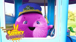 Las Aventuras de Sunny Bunnies | Choo Choo Boo | Serie 4 | Dibujos para niños