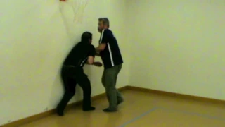 Training lesson 2012 at the Systema School Bern /Zürich /Basel