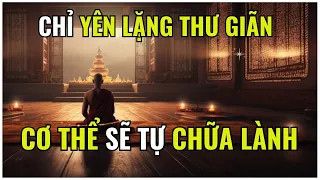 CHỈ YÊN LẶNG THƯ GIÃN CƠ THỂ SẼ TỰ CHỮA LÀNH (P1) |THIỀN SƯ AJHAN BRAHM