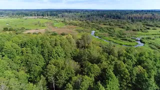 Ты единством сильна, моя Беларусь! ❤️ Премьера песни к Дню народного единства - 17 сентября 🇧🇾