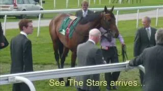 York 2009 slideshow Sea The Stars et al