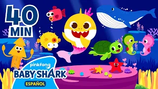 Tiburón Bebé y Sus Amigos del Mar | Canciones Infantiles | +Recopilación | Baby Shark en Español