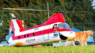 WOW !!! STUNNING !!! BIG RC CH-46 BOEING VERTOL SCALE MODEL TURBINE TANDEM HELICOPTER / FLIGHT DEMO