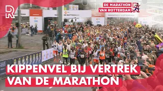 'Het heet niet voor niets DE MOOISTE!' | Zo BEGON de NN Marathon Rotterdam 2023