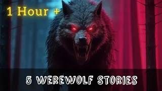 5 True Werewolf Encounter Horror Stories 1 Hour +