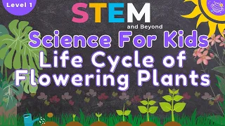 Life Cycle of Flowering Plants | Science For Kids | STEM Home Learning