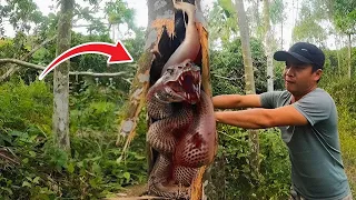 This Man Discovered In A Tree What No One Was Supposed To See