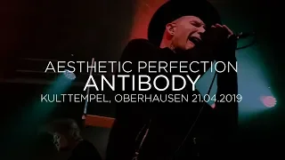 Aesthetic Perfection - Antibody (Kulttempel, Oberhausen 21.04.2019)