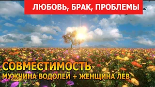 Совместимость мужчины Водолей и женщины Лев