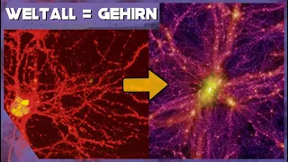 Ist das Universum ein Gehirn?