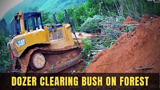 Huge Bulldozer Working Clear The Bush On Forest