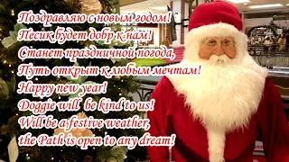 С Новым годом! 2018 Год собаки Happy New year Новогоднее поздравление New years greetings ziminvideo