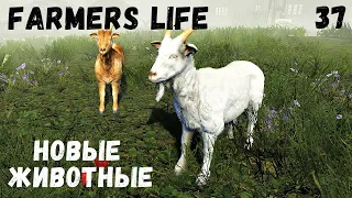 Farmer's Life - Обновление.  Добавили новых животных # 37