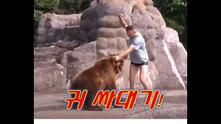 Ep.113 곰 싸대기 때리기, 미친여우의 습격!!!, 개구리와 애벌래 대결 Bear slapping, mad fox attack