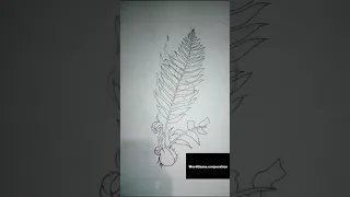 Нарисовал папоротник/Painted a fern