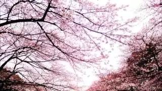 Plastic Tree - 春咲センチメンタル