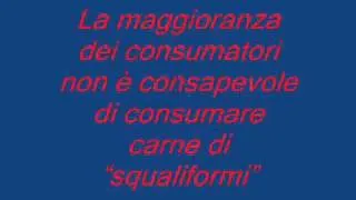 Gli squali si mangiano.wmv