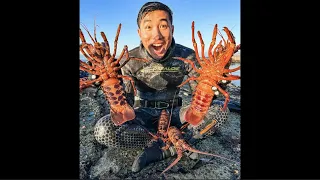 Catching My First CA Spiny Lobster and Limit on Scallops in So Cal