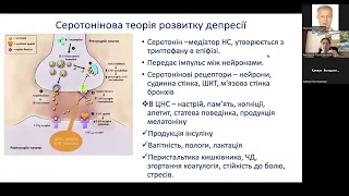 Раціональне застосування антидепресантів Потаскалова В.С. 26 05 24