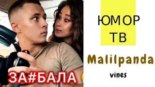 Эльвира Шиндина [malilpanda] - Подборка вайнов #10