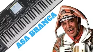 ASA BRANCA - LUÍZ GONZAGA - Aula de Teclado Completa Para Iniciantes - Ricardo Brito